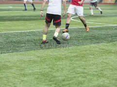 美元对新加,坡元汇率,乐鱼体育,LEYU,Sports,乐鱼体育,体育直播,体育赛事,APP下载,官方网地址