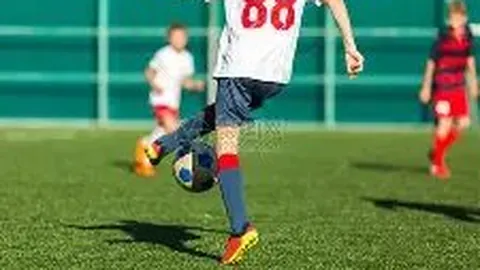 乐鱼体育 资讯 110335 u4d